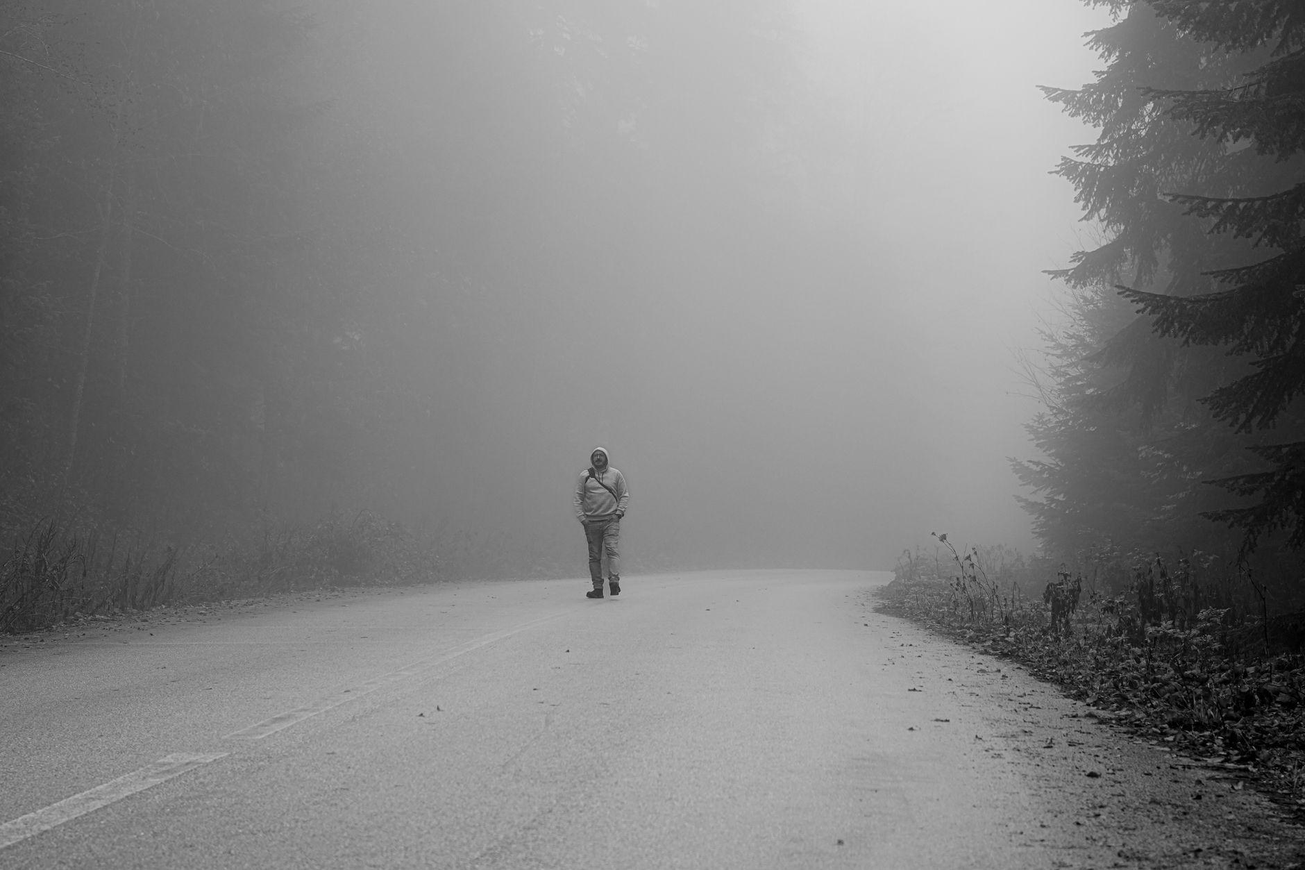 A lone person walks down a foggy road in the Bolu forest, Türkiye, creating a mysterious and atmospheric scene.